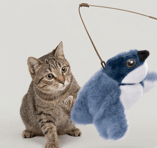 Flapping Bird Cat Toy