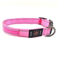  Colorful Pink / L