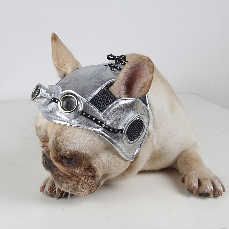 Pet Party Dress for Dogs and Cats - KittyKat Lane LLC
