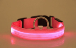 Reflective LED Dog Collar with Leather and Ribbon Design - KittyKat Lane LLC