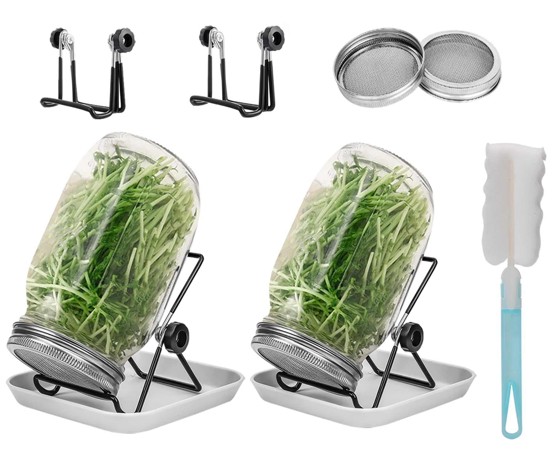 86mm1000mlStandTray and Canning Brush Seed Sprouter Set for Broccoli Alfalfa Mung Bean - KittyKat Lane LLC