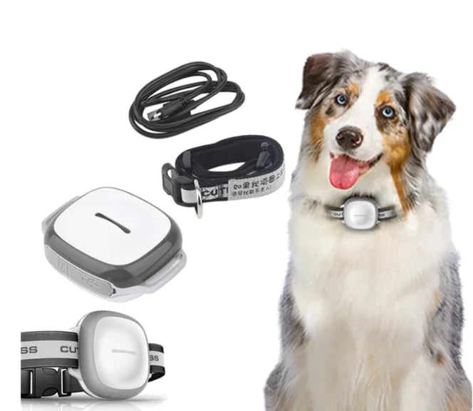 Pet Locator Device - KittyKat Lane LLC