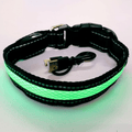  New Green / M