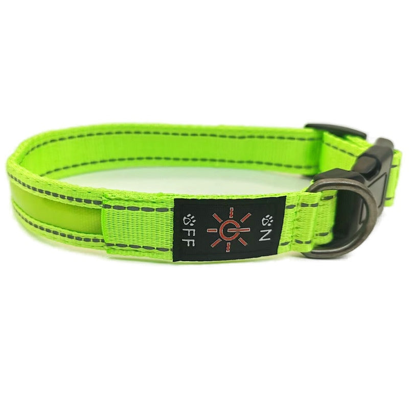Reflective LED Dog Collar with Leather and Ribbon Design - KittyKat Lane LLC